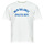 tekstylia Męskie T-shirty z krótkim rękawem New Balance ATHLETICS DEPT TEE Biały