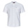 tekstylia Męskie Koszule z krótkim rękawem Tommy Jeans TJM REG MAO LINEN BLEND SS SHIRT Biały