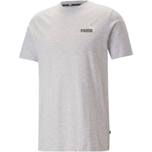 tekstylia Męskie T-shirty z krótkim rękawem Puma 223842 Szary