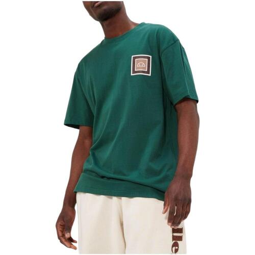 tekstylia Męskie T-shirty z krótkim rękawem Ellesse  Zielony