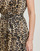 tekstylia Damskie Sukienki krótkie Guess SL ROMANA FLARE Leopard