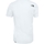 tekstylia Męskie T-shirty i Koszulki polo The North Face M S/S SIMPLE DOME TEE Biały