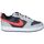Buty Damskie Multisport Nike DV5456-003 Szary