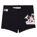 Dy Mickey Boxer