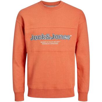 tekstylia Chłopiec Bluzy Jack & Jones  Pomarańczowy