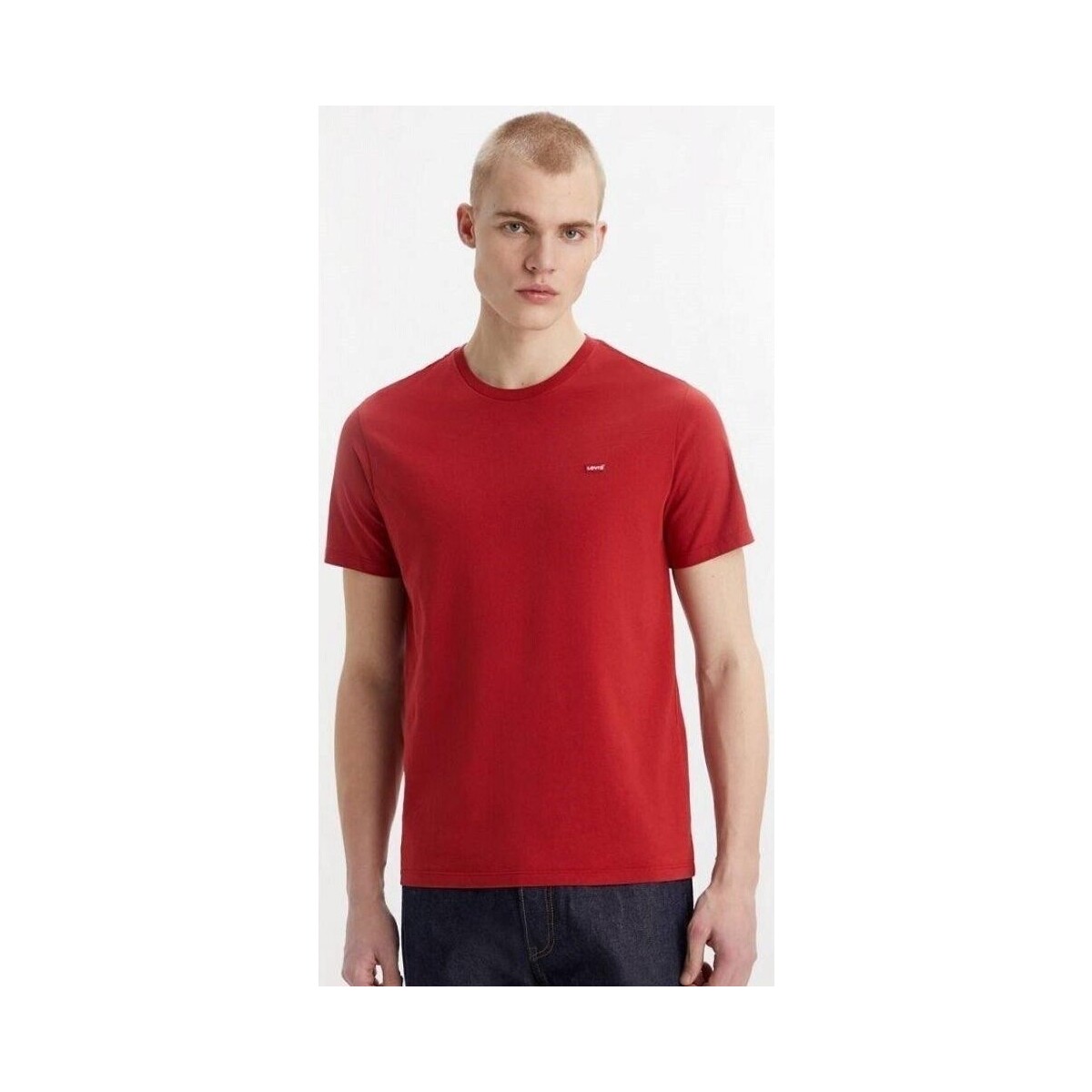 tekstylia Męskie T-shirty z krótkim rękawem Levi's 56605 0176 SS ORIGINAL HM TEE Czerwony