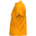 tekstylia Męskie T-shirty z krótkim rękawem Joma Explorer Tee Żółty