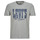 tekstylia Męskie T-shirty z krótkim rękawem Levi's GRAPHIC CREWNECK TEE Szary
