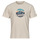 tekstylia Męskie T-shirty z krótkim rękawem Columbia Path Lake Graphic Tee II Beżowy