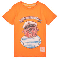 tekstylia Chłopiec T-shirty z krótkim rękawem Name it NKMTOLE SS TOP PS Pomarańczowy