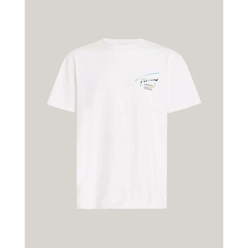 tekstylia Męskie T-shirty z krótkim rękawem Tommy Hilfiger DM0DM18283YBR Biały