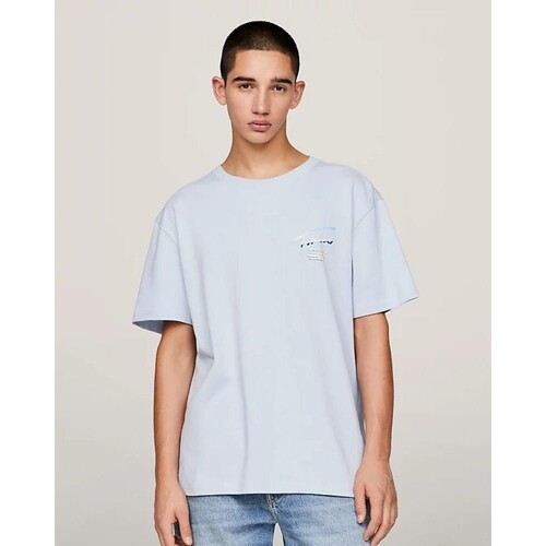 tekstylia Męskie T-shirty z krótkim rękawem Tommy Hilfiger DM0DM18283C1O Niebieski