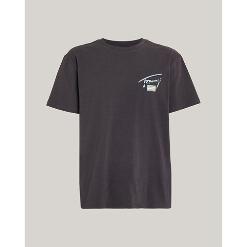 tekstylia Męskie T-shirty z krótkim rękawem Tommy Hilfiger DM0DM18283 Niebieski