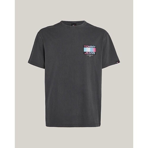 tekstylia Męskie T-shirty z krótkim rękawem Tommy Hilfiger DM0DM18300PUB Niebieski