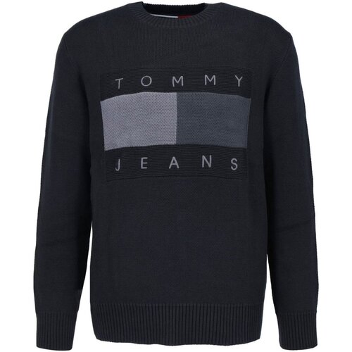 tekstylia Męskie Swetry Tommy Jeans DM0DM17773 Czarny