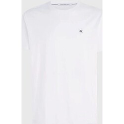 tekstylia Męskie T-shirty z krótkim rękawem Calvin Klein Jeans J30J325268 Biały