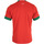 tekstylia Męskie T-shirty z krótkim rękawem Puma Frmf Maroc Home Jersey Replic Czerwony