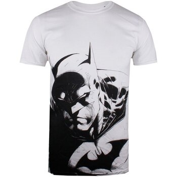tekstylia Męskie T-shirty z krótkim rękawem Dc Comics GBMTS393 Biały