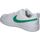 Buty Damskie Multisport Nike DV5456-109 Biały