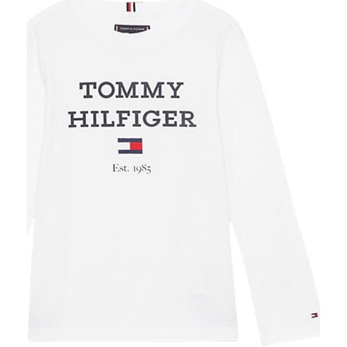 tekstylia Chłopiec T-shirty z długim rękawem Tommy Hilfiger KB0KB08672 Biały