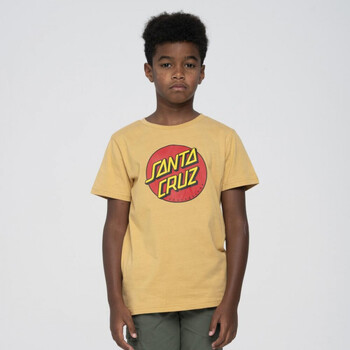tekstylia Dziecko T-shirty i Koszulki polo Santa Cruz Youth classic dot t-shirt Beżowy