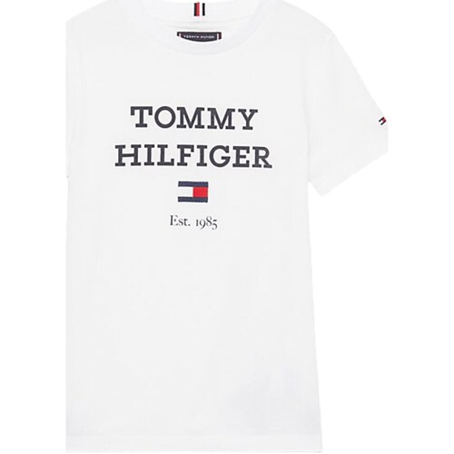 tekstylia Chłopiec T-shirty z długim rękawem Tommy Hilfiger KB0KB08671 Biały
