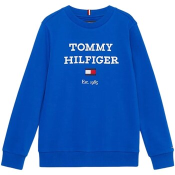 tekstylia Chłopiec Bluzy Tommy Hilfiger KB0KB08713 Niebieski