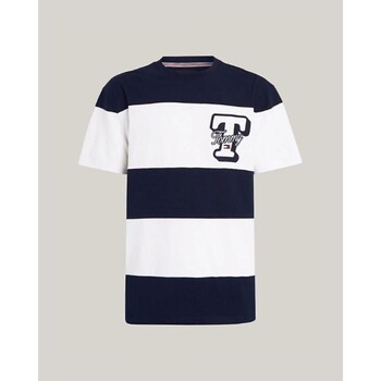 tekstylia Męskie T-shirty z krótkim rękawem Tommy Hilfiger DM0DM18674C1G Wielokolorowy