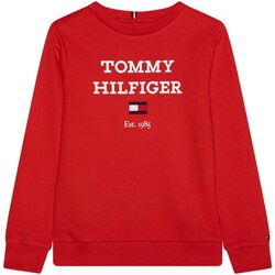 tekstylia Chłopiec Bluzy Tommy Hilfiger KB0KB08713 Czerwony