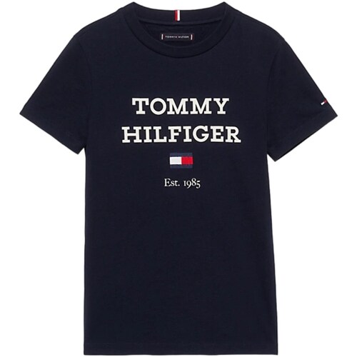 tekstylia Chłopiec T-shirty z długim rękawem Tommy Hilfiger KB0KB08671 Niebieski