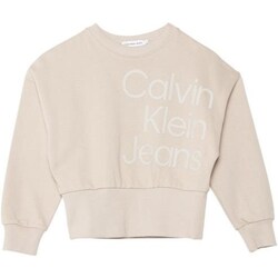 tekstylia Dziewczynka Bluzy Calvin Klein Jeans IG0IG02300 Beżowy