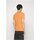 tekstylia Męskie T-shirty z krótkim rękawem Calvin Klein Jeans J30J320806 Pomarańczowy