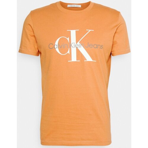 tekstylia Męskie T-shirty z krótkim rękawem Calvin Klein Jeans J30J320806 Pomarańczowy