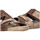 Buty Męskie Sandały Arizona 69418 Brązowy
