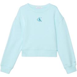 tekstylia Dziewczynka Bluzy Calvin Klein Jeans  Niebieski