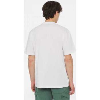 Dickies Aitkin chest tee ss Biały
