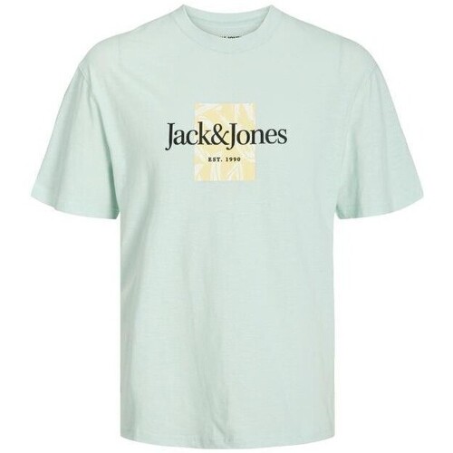 tekstylia Męskie T-shirty z krótkim rękawem Jack & Jones 12250436 JORLAFAYETTE Zielony