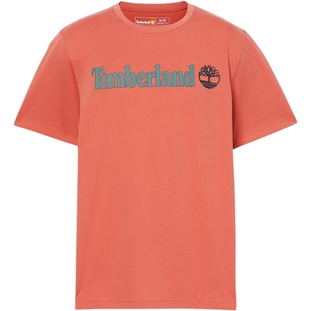 tekstylia Męskie T-shirty z krótkim rękawem Timberland 227446 Pomarańczowy