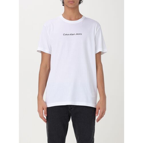 tekstylia Męskie T-shirty i Koszulki polo Calvin Klein Jeans J30J324646 YAF Biały