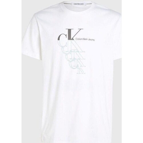 tekstylia Męskie T-shirty z krótkim rękawem Calvin Klein Jeans J30J325352 Biały