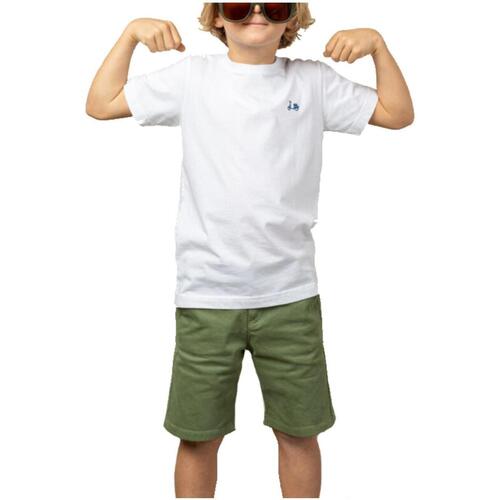 tekstylia Chłopiec T-shirty z krótkim rękawem Scotta  Biały