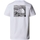 tekstylia Męskie T-shirty i Koszulki polo The North Face Redbox Celebration T-Shirt - White Biały