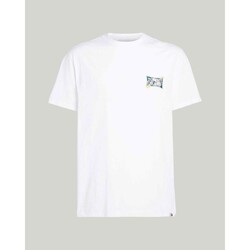 tekstylia Męskie T-shirty z krótkim rękawem Tommy Hilfiger DM0DM18562YBR Biały