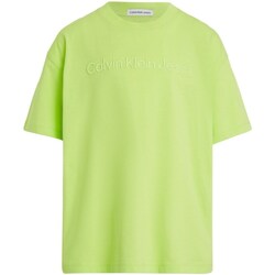 tekstylia Chłopiec T-shirty z długim rękawem Calvin Klein Jeans IB0IB02030 Zielony