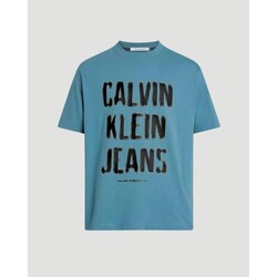 tekstylia Męskie T-shirty z krótkim rękawem Calvin Klein Jeans J30J324648 Niebieski