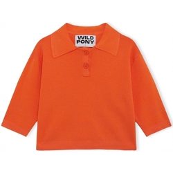 tekstylia Damskie Swetry Wild Pony Knit 10604 - Orange Pomarańczowy