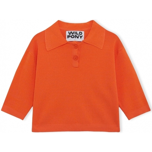 tekstylia Damskie Swetry Wild Pony Knit 10604 - Orange Pomarańczowy