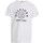 tekstylia Chłopiec T-shirty z długim rękawem Tommy Hilfiger KB0KB08802 Biały