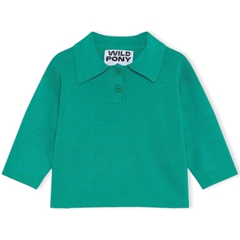tekstylia Damskie Swetry Wild Pony Knit 10603 - Green Zielony