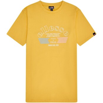 tekstylia Męskie T-shirty z krótkim rękawem Ellesse  Żółty